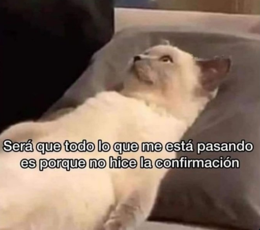 Tiene que ser😭