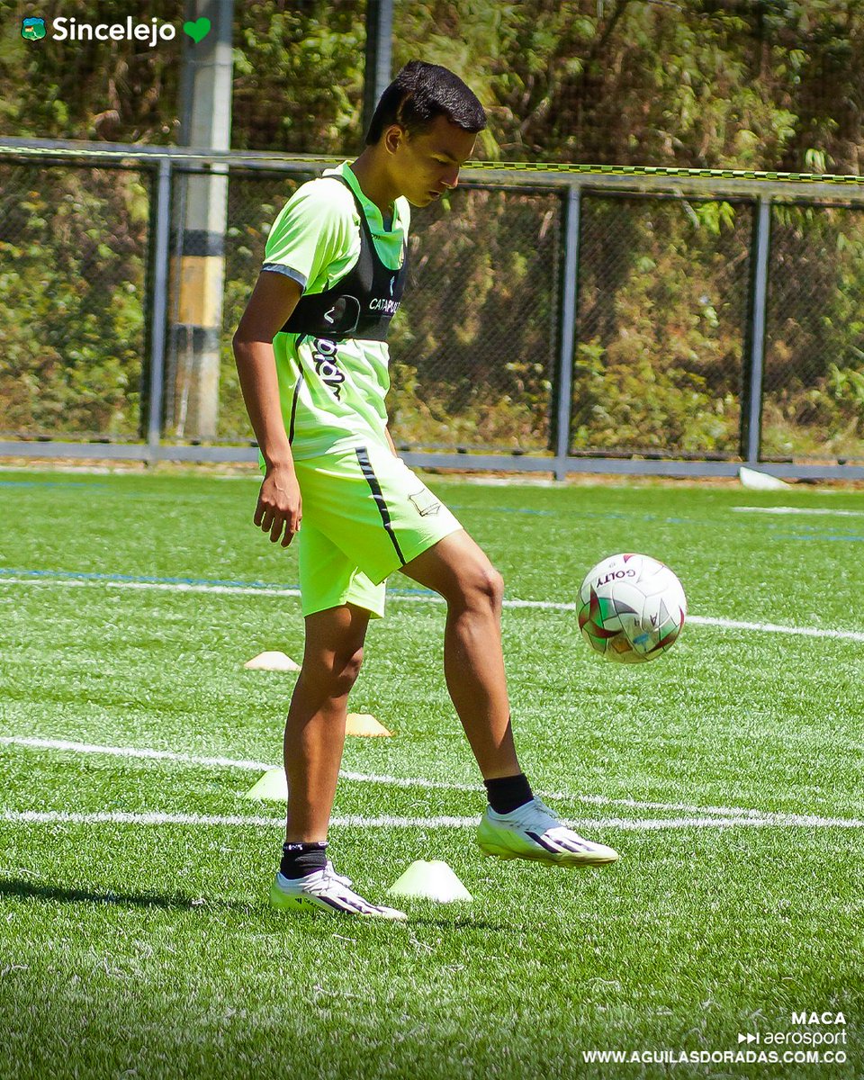AguilasDoradas's tweet photo. #FuerzasBasicas | Nuestro equipo Sub 20 continua su preparación pensando en lo que viene. 🦅🔥
Estamos activooos, profe. ¡Daleee Águilas Doradas! 🦅😎🏟️
#ElVueloALaGloria #CreerNosHaceGrandes #NidoDeSoñadores #Sincelejo💚 https://t.co/NtpHfPv05V