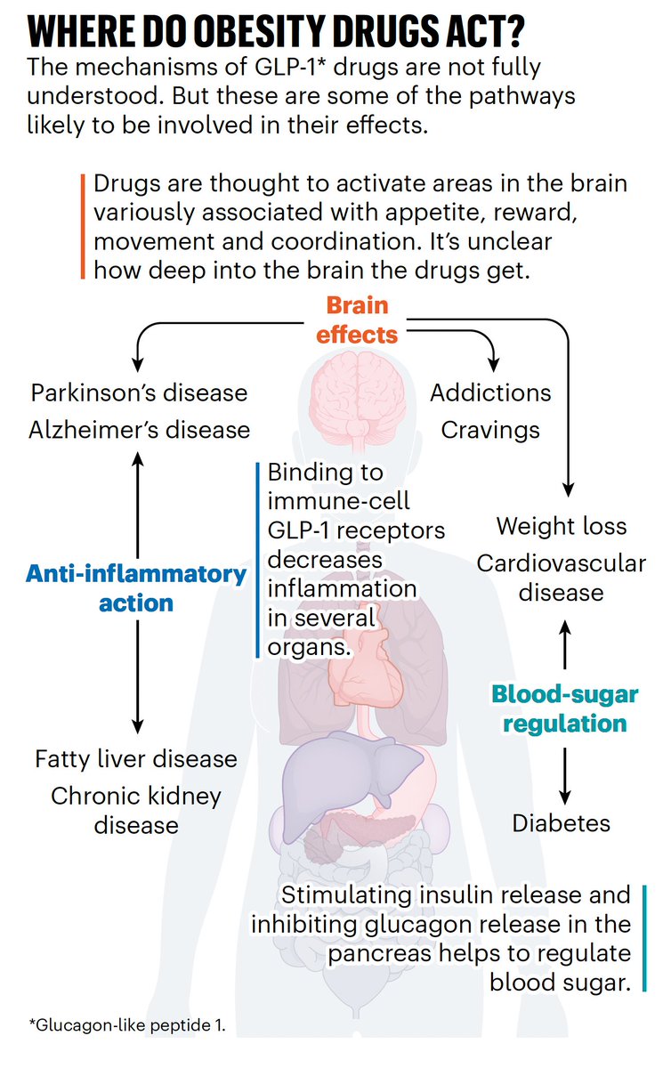 Eric Topol (@erictopol) on Twitter photo The GLP-1 drugs are the most important drug class breakthrough in medical history. We're still learning how they have such broad impact, especially about their anti-inflammatory effects, systemically and in the brain
nature.com/articles/d4158…
A new feature <a href="/Nature/">nature</a>, by <a href="/marilenharo/">Mariana Lenharo</a> The GLP-1 drugs are the most important drug class breakthrough in medical history. We're still learning how they have such broad impact, especially about their anti-inflammatory effects, systemically and in the brain
nature.com/articles/d4158…
A new feature <a href="/Nature/">nature</a>, by <a href="/marilenharo/">Mariana Lenharo</a>