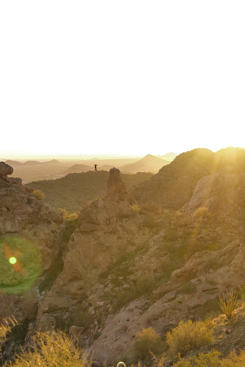 itsdavey tweet media