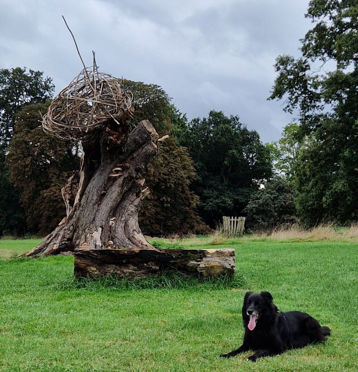 Dr. Corinne Scott tweet media