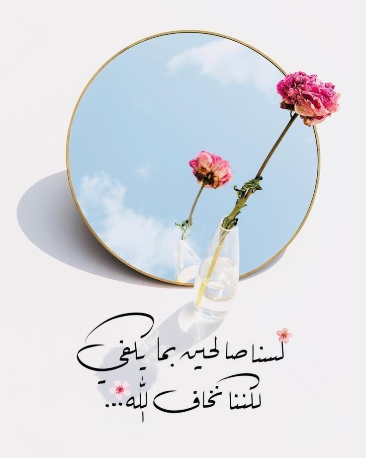 ابوخاطر↩لا اله الا الله محمد رسول الله tweet media