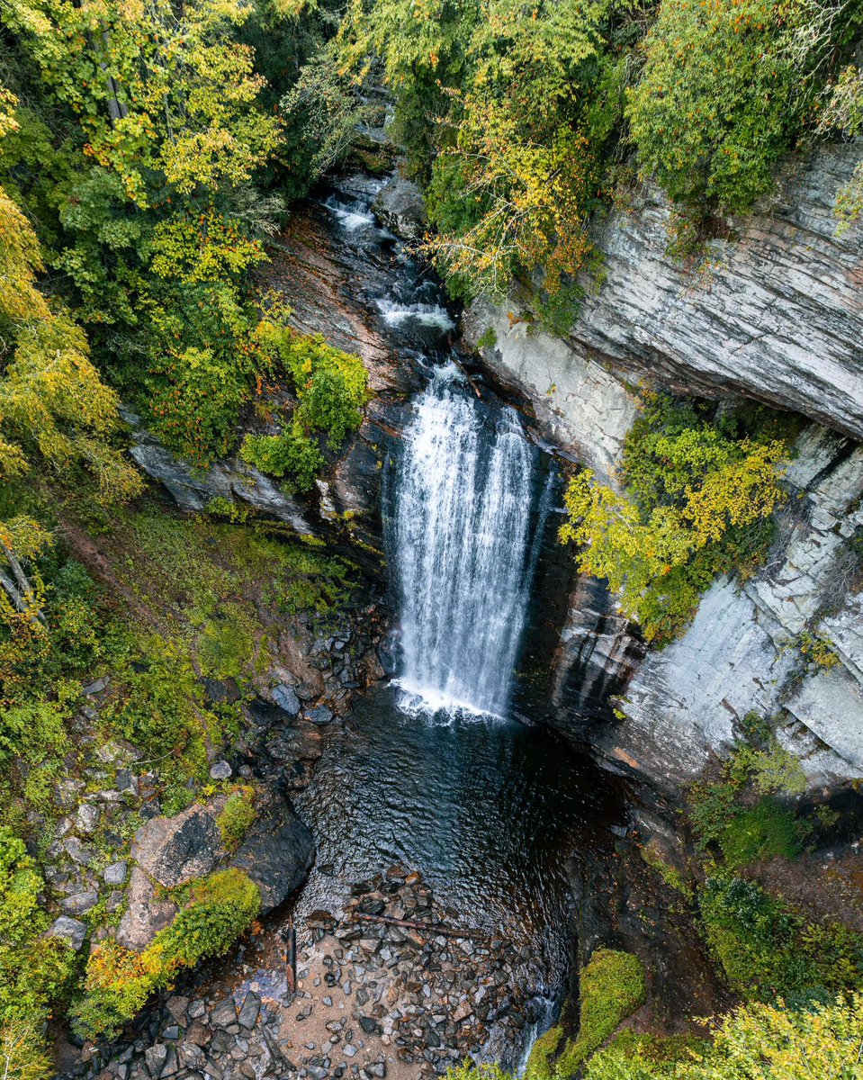 Explore Brevard NC tweet media