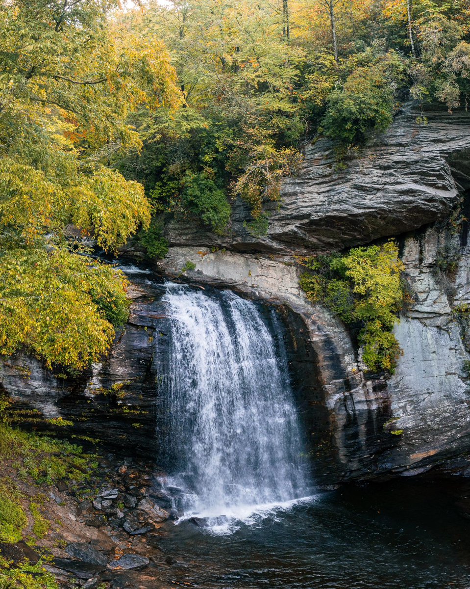 Explore Brevard NC (@explore_brevard) on Twitter photo The first glimpses of fall are popping up at Looking Glass Falls. Check out our Interactive fall foliage map to plan your leaf-peeping adventures in the land of waterfalls.
📸 <a href="/unmappedearth/">unmappedearth</a>
vist.ly/3mhacq8 The first glimpses of fall are popping up at Looking Glass Falls. Check out our Interactive fall foliage map to plan your leaf-peeping adventures in the land of waterfalls.
📸 <a href="/unmappedearth/">unmappedearth</a>
vist.ly/3mhacq8