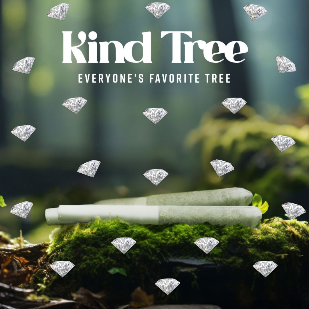 terrascendcorp's tweet photo. Diamonds are most definitely our best friend. @KindTreeCanna's 0.5 Diamond-Infused Pre-R*lls now come in 2-packs. Try them out today. #KindTree #TerrAscend https://t.co/KrR5EaZiHN