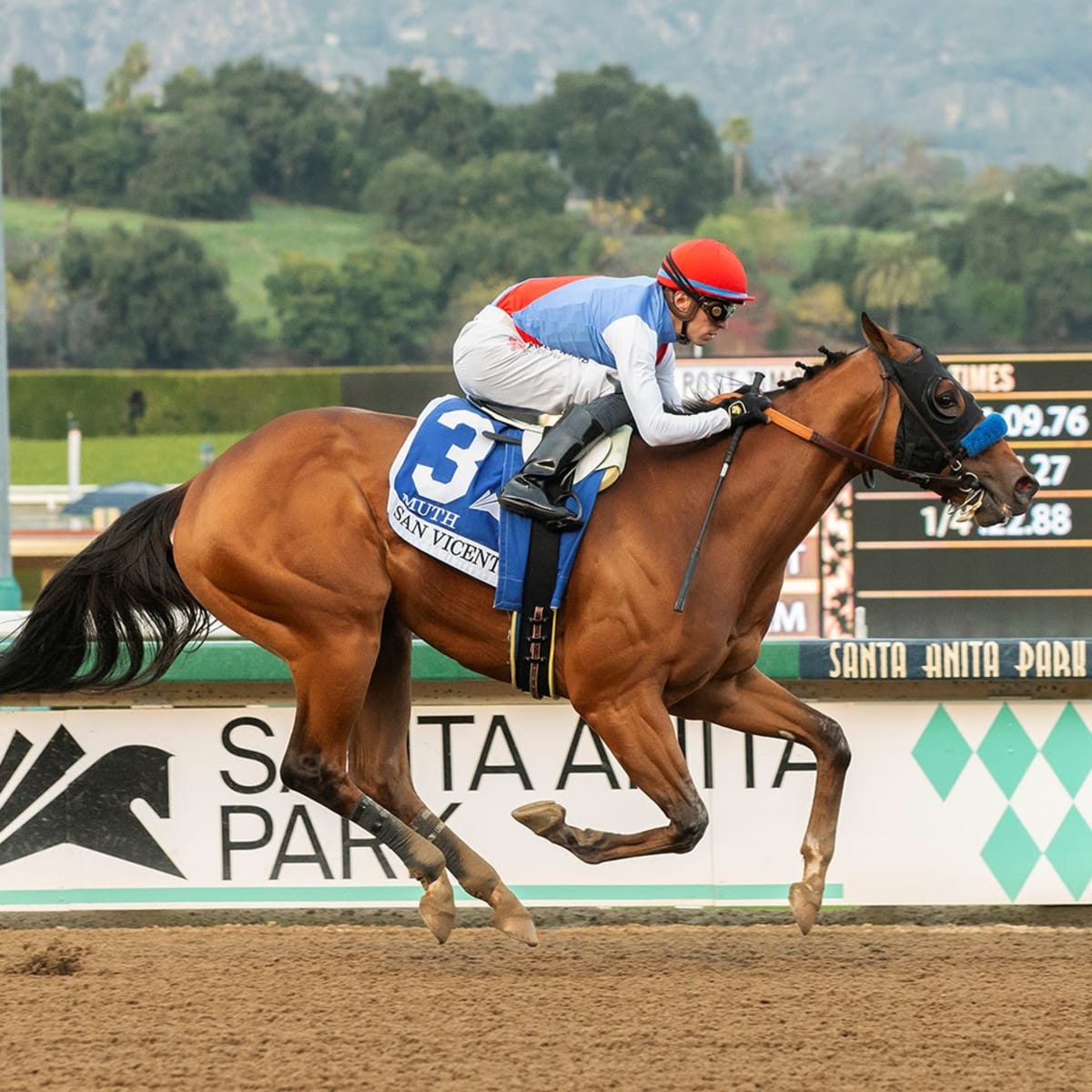 kev4derby's tweet image. #Muth - Califonia Crown 👑  entry! 

LGM - Lets Go Muth