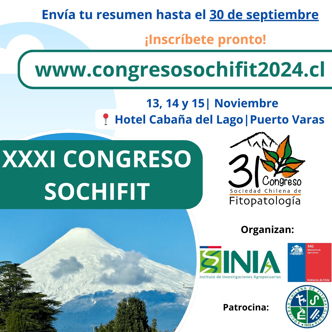 Sochifit (@sochifitchile) on Twitter photo 
