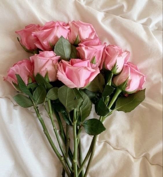 gal౨ৎ (@prtygal777) on Twitter photo 