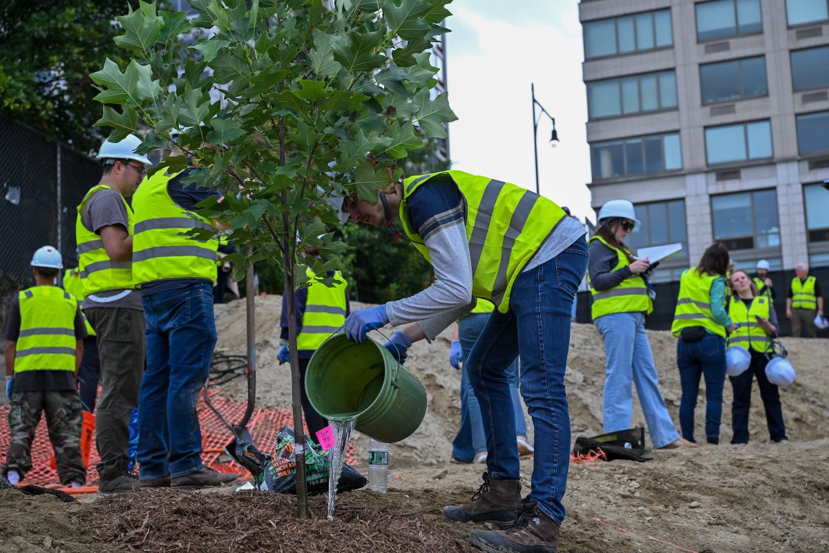arborday's tweet photo. Concrete jungle? Not if we can help it.

We started #ClimateWeekNYC by planting trees in the heart of Manhattan with our friends at @VerizonGreen 🌱

400 trees are heading to Riverside Park 💪 The trees will provide shade for residents and improve stormwater management in NYC. https://t.co/uc2iAFtmcT