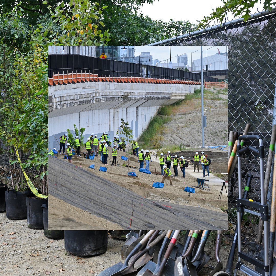 arborday's tweet photo. Concrete jungle? Not if we can help it.

We started #ClimateWeekNYC by planting trees in the heart of Manhattan with our friends at @VerizonGreen 🌱

400 trees are heading to Riverside Park 💪 The trees will provide shade for residents and improve stormwater management in NYC. https://t.co/uc2iAFtmcT