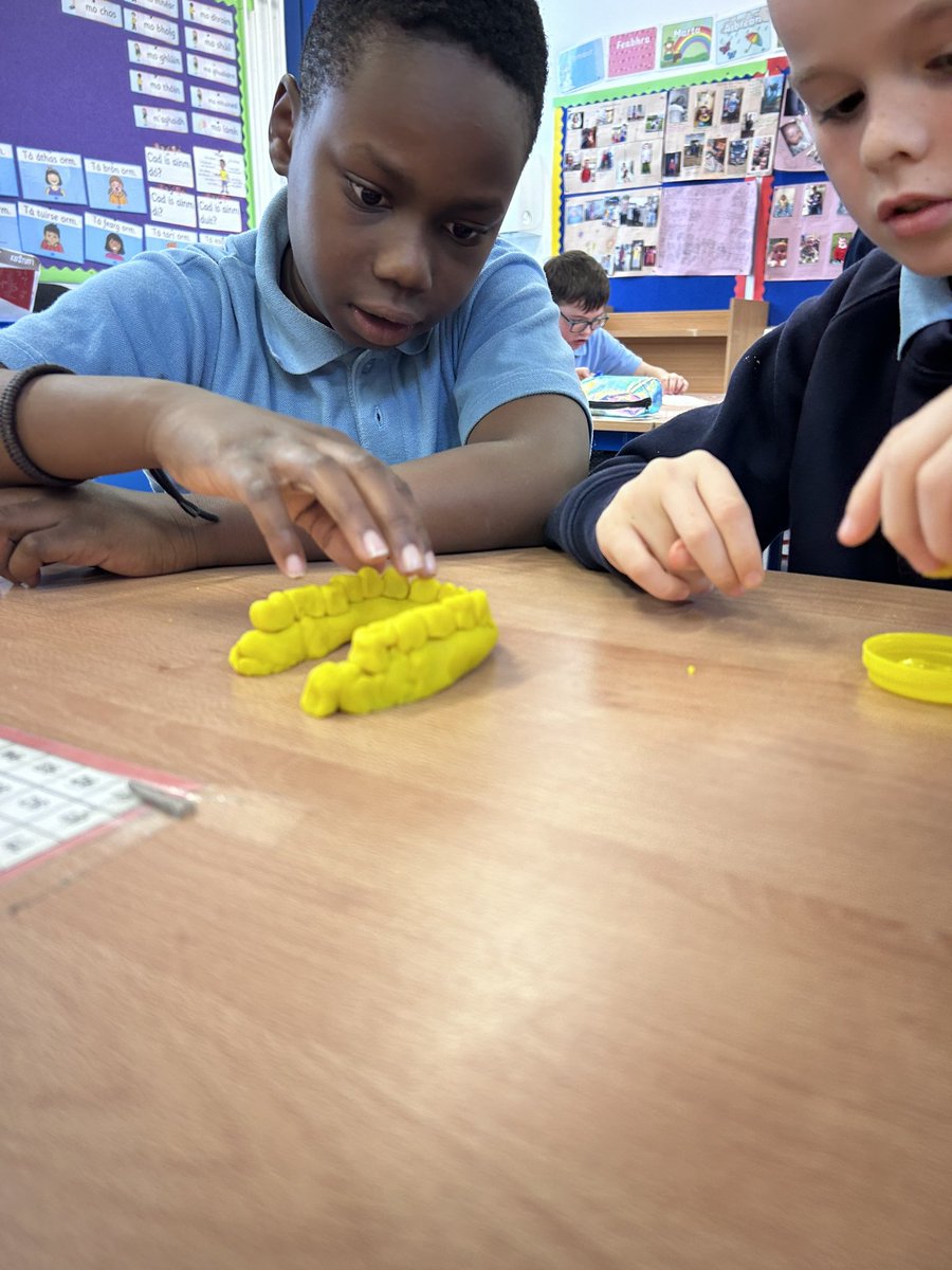FaughartCNS's tweet image. Exploring the world of teeth in Room 3 today! So much to smile about! 😁🦷 #Room3Adventures #ToothTalk #STEM