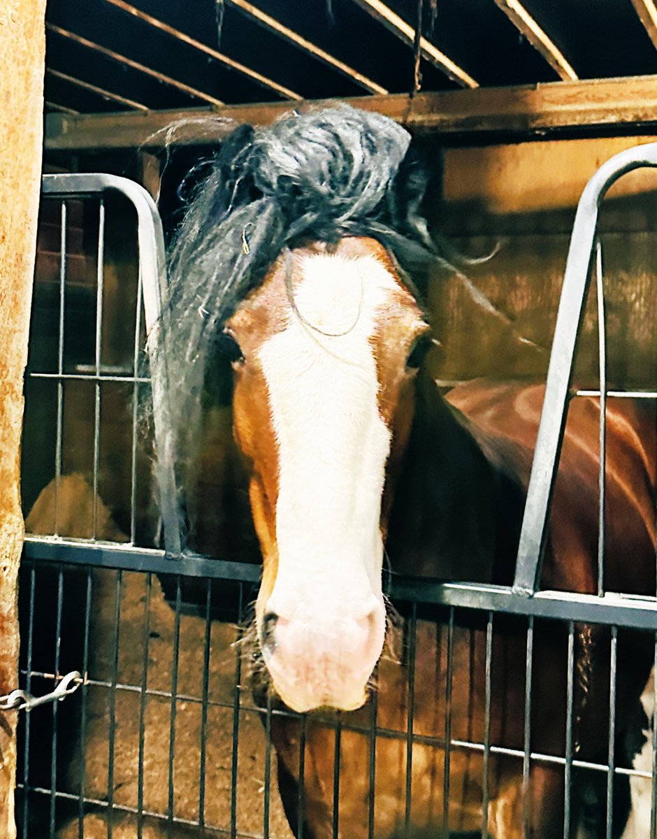 Crouton & Friends🏳️‍🌈🦋 tweet media