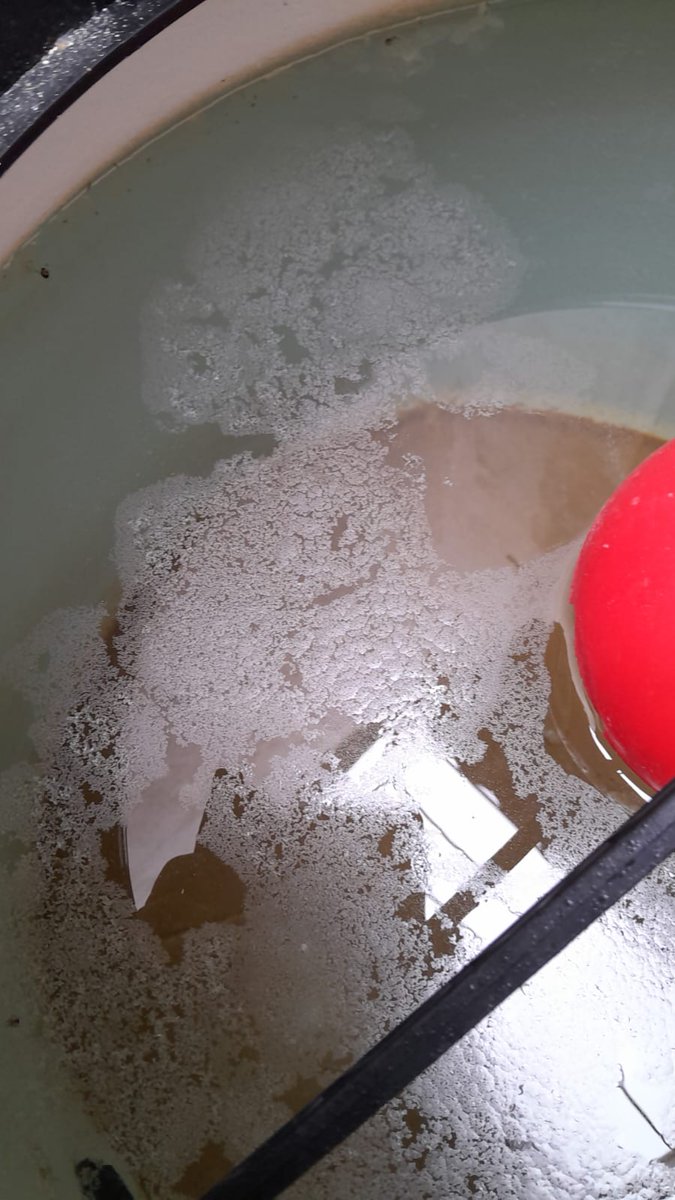 Ésta es el AGUA que nos dan en Tartagal la Empresa Aguas del Norte. Carlos Saravia presidente del Ente Regulador SP Salta a ver si te ocupas de controlar o vení y tomate esta agua vos.
