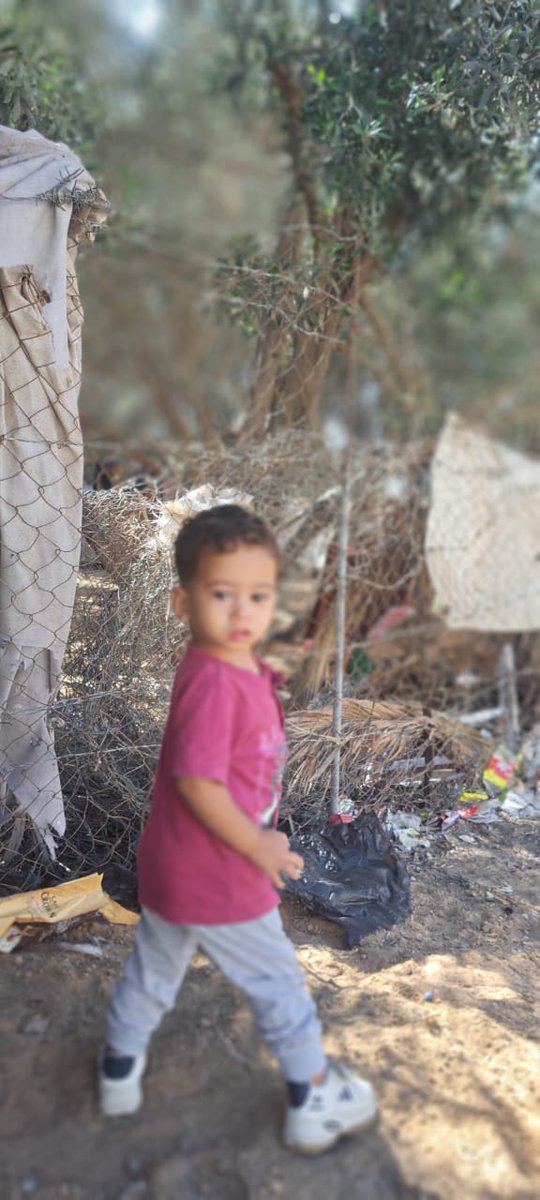 Nonoos84's tweet image. To remind you of Darwish, the youngest child in my family.
When the war started he was only 7 mons old, Now he is 1.7 y.o
He grew older in war, bombing, displacement and difficult living conditions.
Doesn&apos;t this child deserve a better life with his family?
gofund.me/e6644700