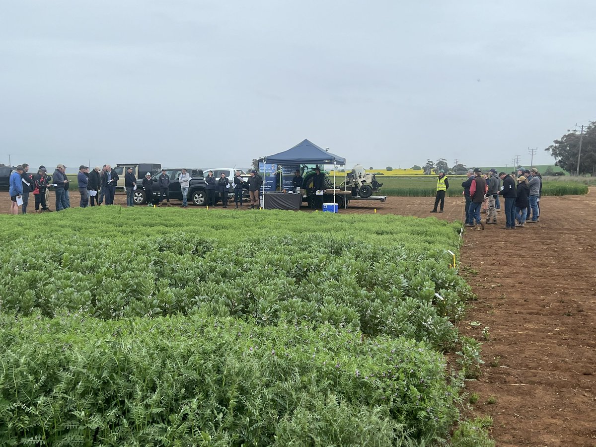 driscoll_ag's tweet photo. Driscoll AG Demo day @ Moolort.
Great morning with plenty of learnings with #pioneer #basf #adama #cropex
This area has been fortunate to have timely rains this season! https://t.co/SEKHgv0oLV