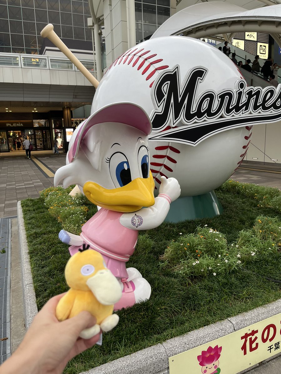 pelikanm400's tweet photo. ZOZOマリンスタジアムに行ってきました🩶

スタジアムの光と音の演出がフェスのようでビックリ。選手と観客の士気が高く、高揚した気持ちになりました！

外周にはキッチンカーをフードコート代わりに利用しているお客さんがたくさんいました。 https://t.co/tAuQEF8pZg