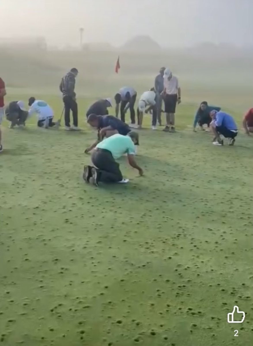 Eddie_Rado's tweet photo. Rose Creek member-guest this weekend has members out hand repairing divots following hail storm in NW OKC/Edmond Tuesday night. Love the hustle. Actually have been told it’s going well. https://t.co/RzOJzoxlTd
