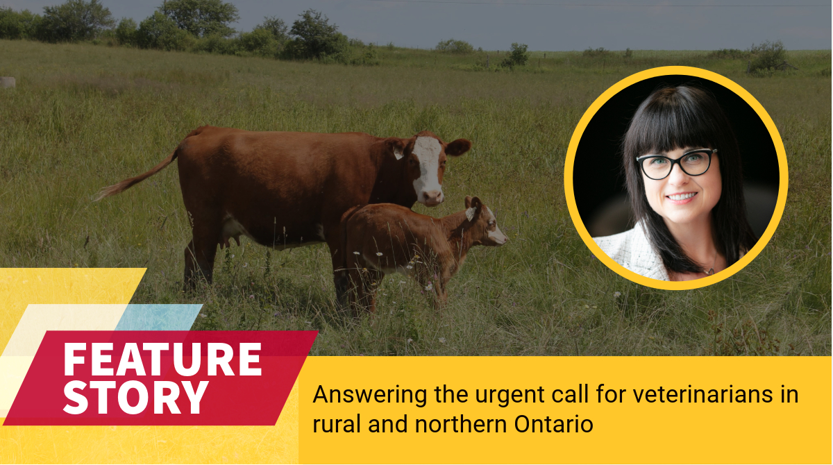 #UofG research has revealed some reasons new veterinary graduates are not dedicating their futures to attending to food animals. Read the full story: bit.ly/3Xva5Yx
<a href="/SaraK_Epp/">Sara Epp</a> <a href="/RPDplan/">Rural Planning & Development, University of Guelph</a> <a href="/UofGResearch/">UofGResearch</a>