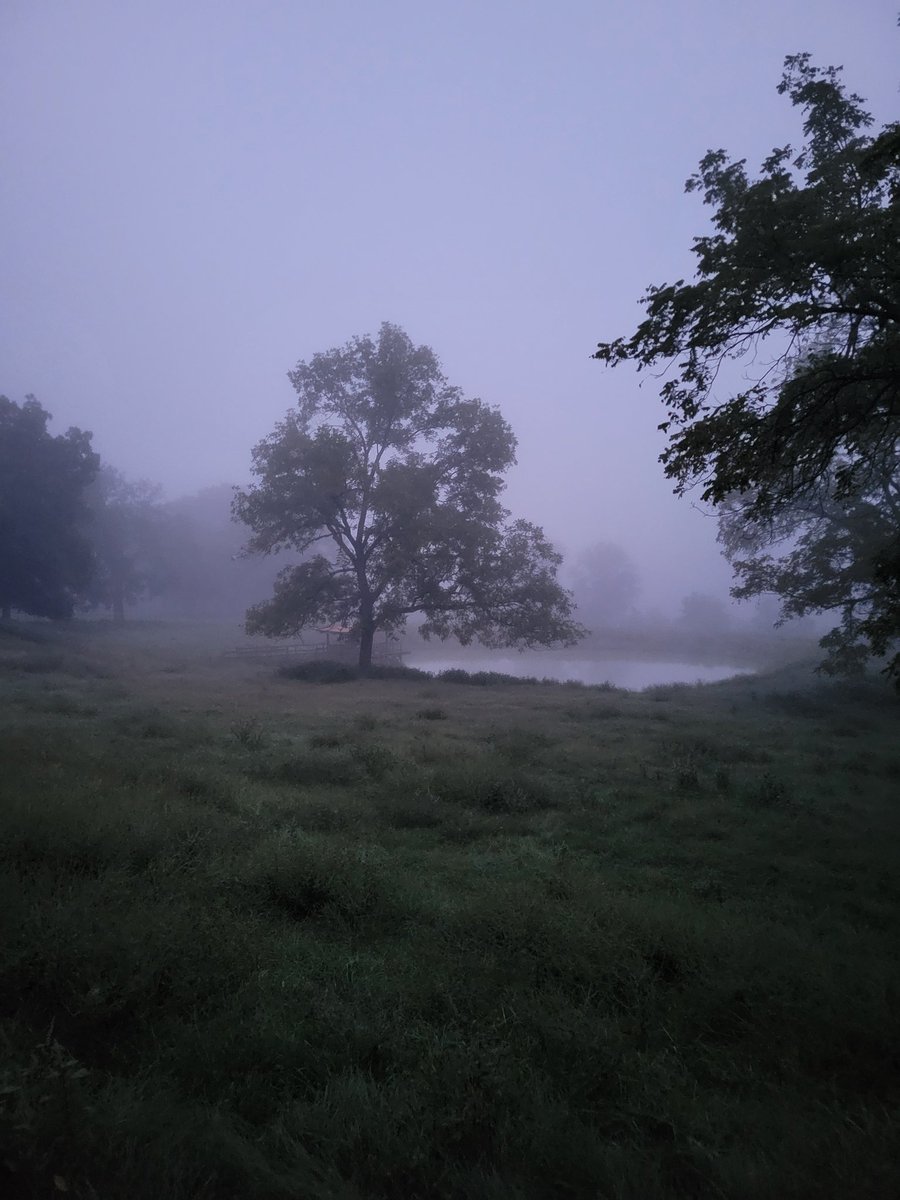 Almost feeling like fall