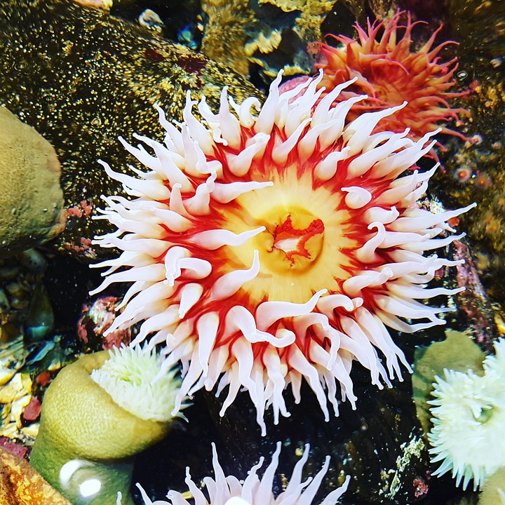 sweetstickyrain's tweet photo. Aquarium: Fish Tank Floorshow Night
https://t.co/WiGA7V49Og
#Aquarium
#FishTankFloorshowNight
#FishTank
#Vivarium https://t.co/A8vVZ4tiPn