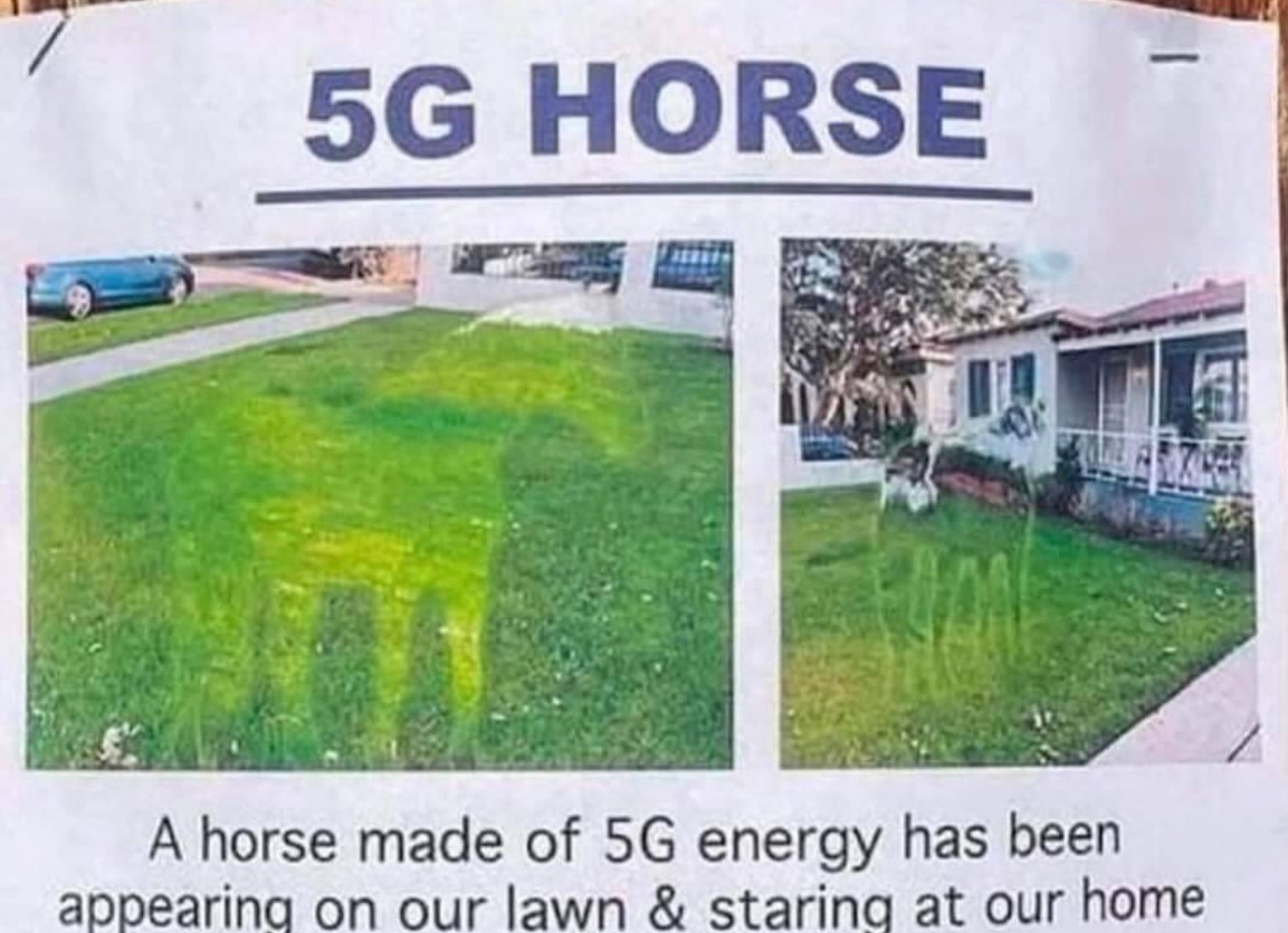 slayvideos's tweet image. 