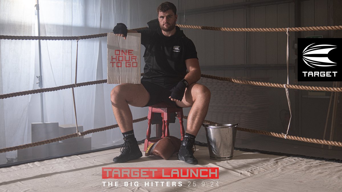 Target Darts tweet media