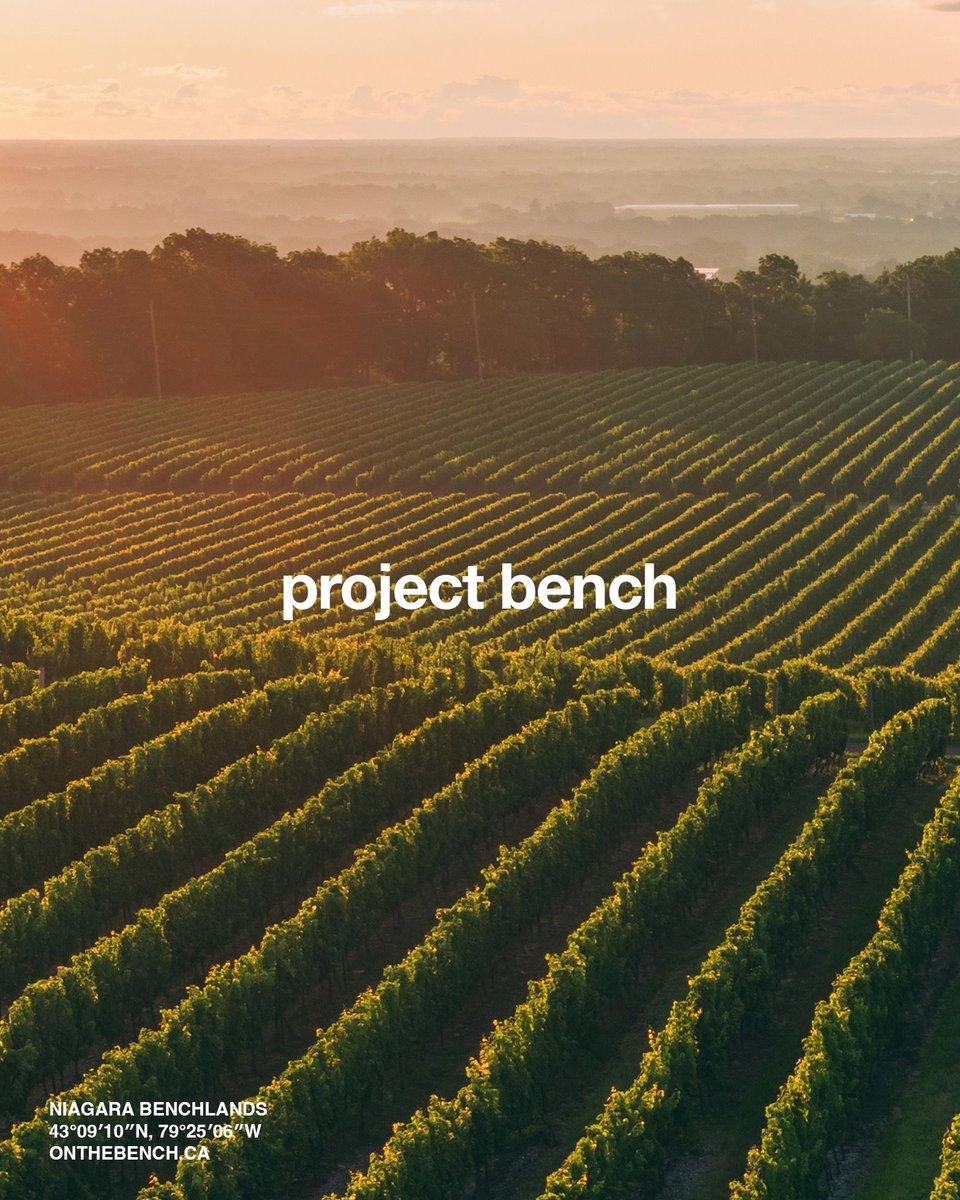 globizen's tweet photo. Follow @onthebenchca for the latest on Canada’s largest wine region — the Niagara Benchlands — and to stay up to date on our upcoming development project. Coming soon to the Bench waterfront. https://t.co/q9XmyOMcBC