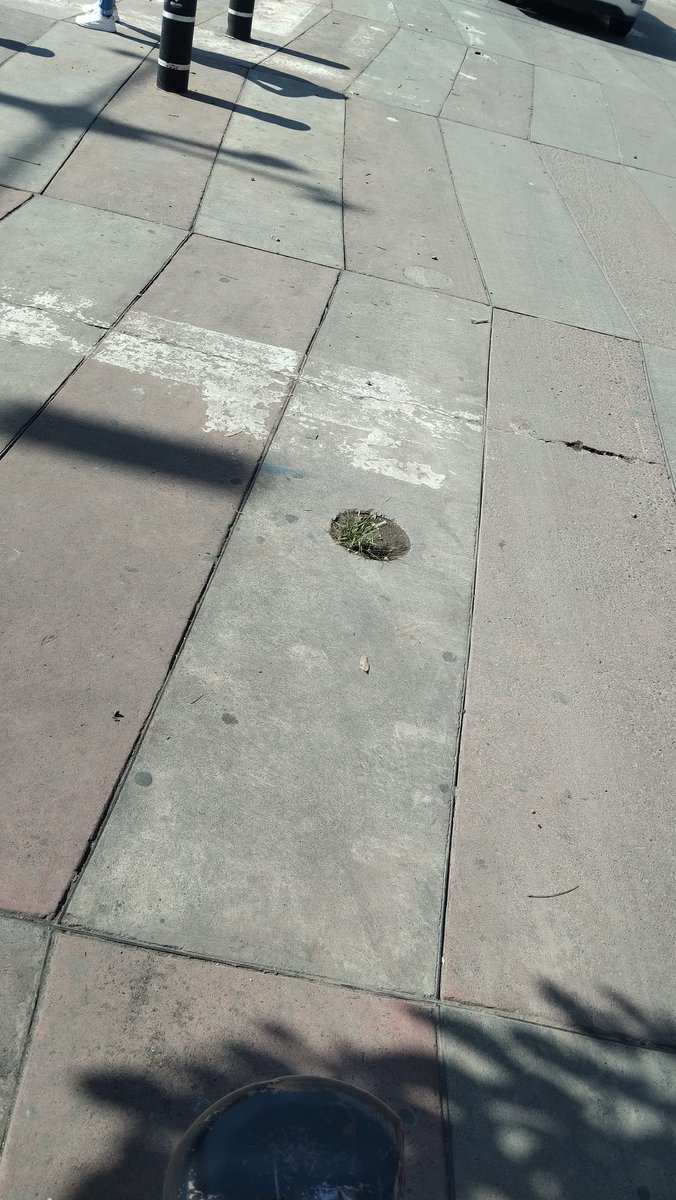NaftaliChase's tweet photo. Oye @SITEURJAL sabes dónde reportar que ya no hay protecciones en la parada de camiones de toltecas esquina emiliano Zapata? 
@SOS_Mural https://t.co/yZ3hXgUczh