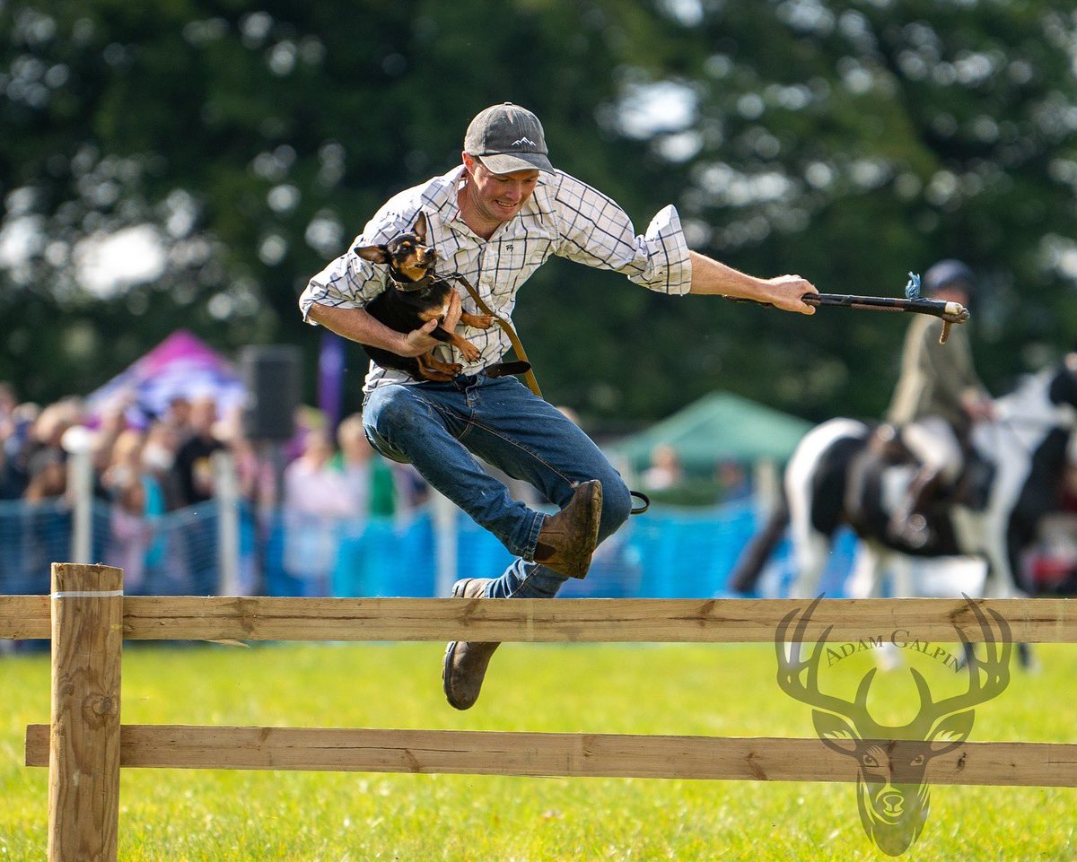 lurcherwork's tweet photo. Inter hunt relay
#horse #terrier #countryfun #huntinglife #gamefair https://t.co/T6EtqqBZfX