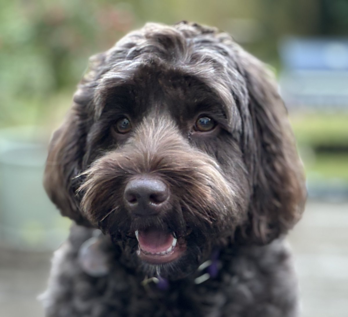 Graham McLeish tweet media