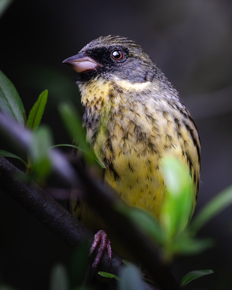 taiga_camera_r7's tweet image. #これまでの代表作を4つ見せて
動物写真、風景写真(初心者)メインに撮影してます。
気軽に声かけてください!
たくさんの方と仲良くしたいです。
写真関係の方フォロバします!