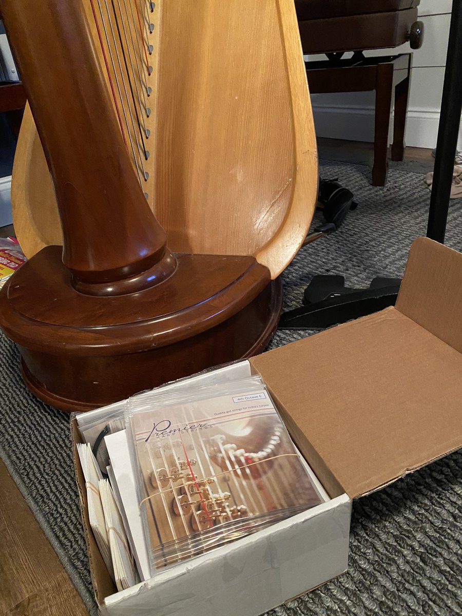 Danielle Kuntz | New Music Harpist tweet media