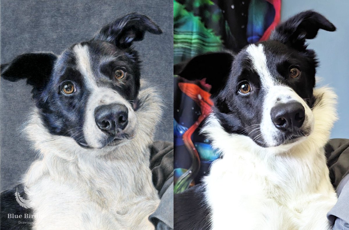 Blue Birdie Drawings tweet media