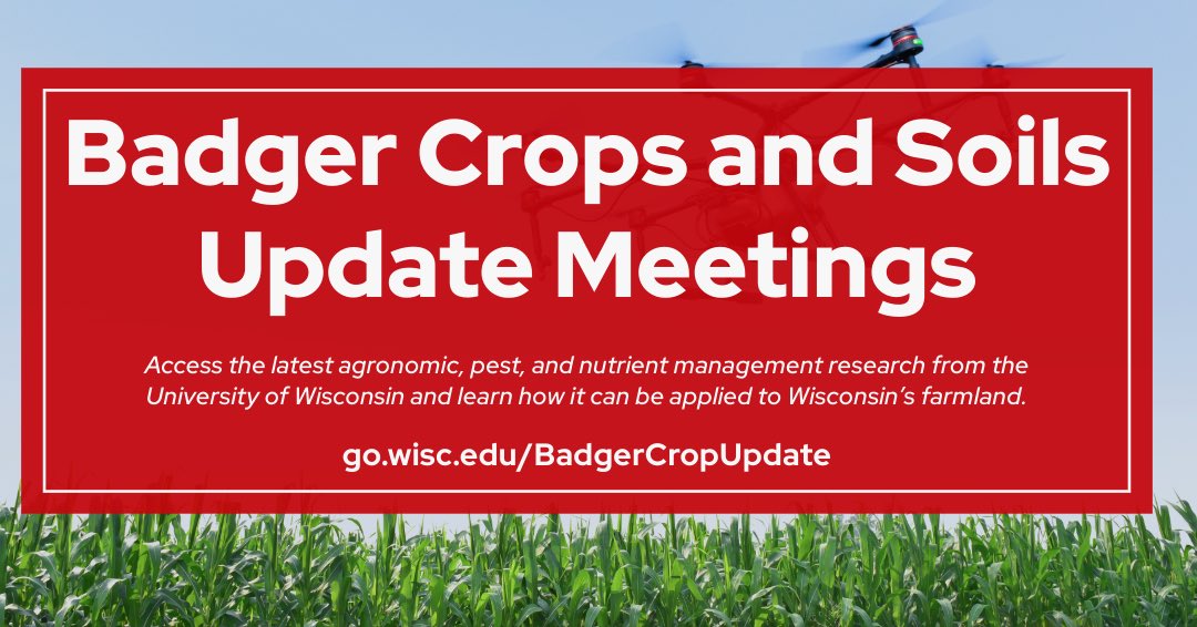 Early bird registration for the 2024 Badger Crops and Soils Update Meetings is open until October 14! Join us for a full day of discussing UW agronomic, pest &amp; nutrient management research

🗓️: Dec. 3-6
📍: Eau Claire, Arlington, Appleton, or Virtual
🔗: go.wisc.edu/BadgerCropUpda…