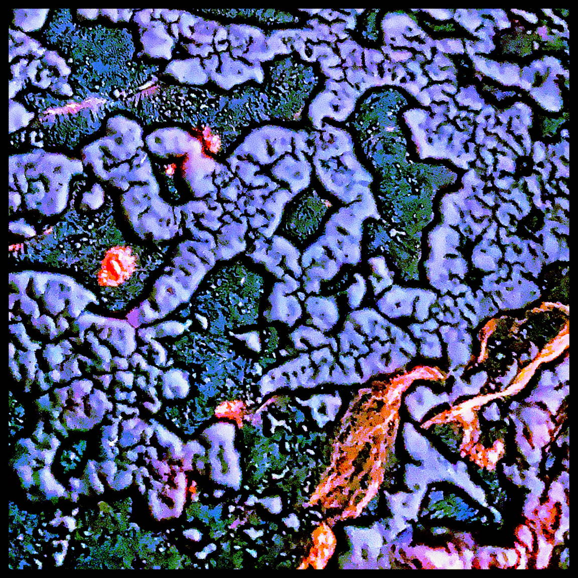 Knead π tweet media