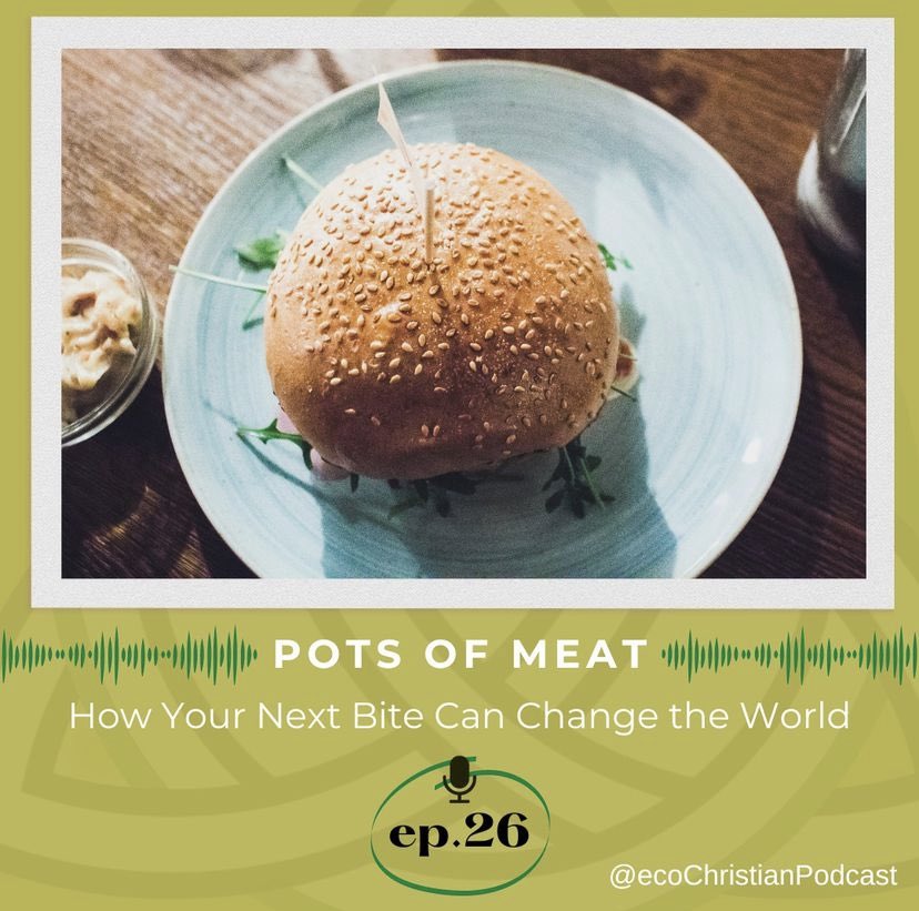 The ecoChristian Podcast tweet media