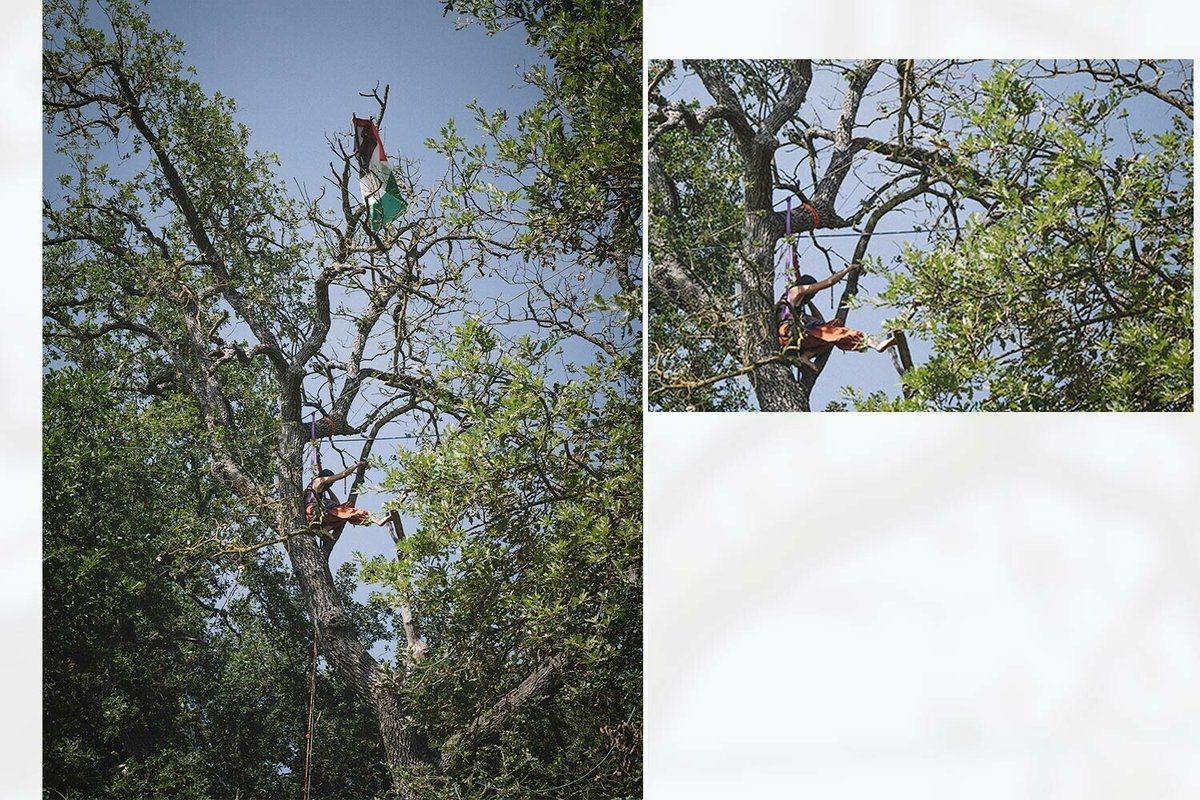 Mediapart tweet media