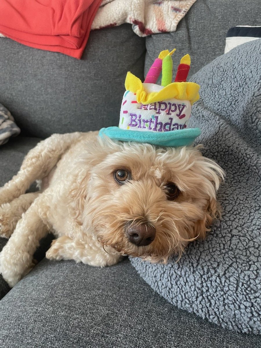 It's my birthday! I'm 5 now!!