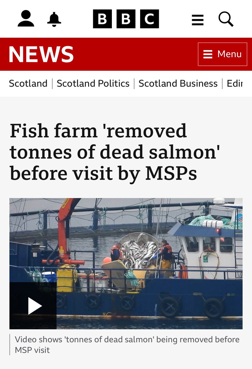 salmon_free's tweet photo. **BREAKING**
Oh dear looks like Scottish Salmon Industry has been caught with their pants down.

Amazing work from @animal_equality exposing these bastards for what they really are.

https://t.co/NEeeZD6FOU https://t.co/14u5FjXJY2