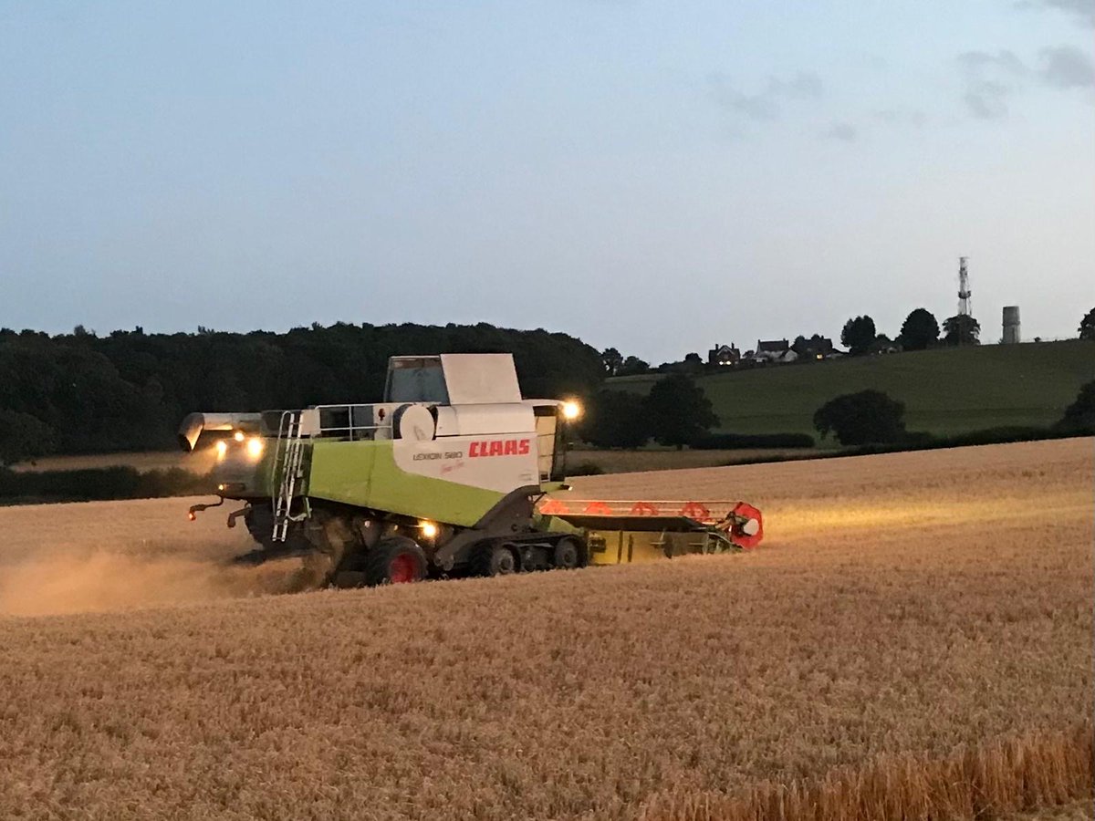 James firmly believes that using Triple Ten and BAM is the secret behind this healthy spring barley!  

Have you ever tried Triple Ten and BAM?