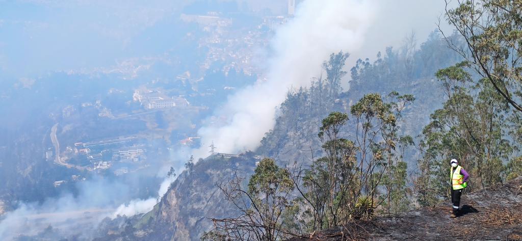 Emilio Cobo tweet media