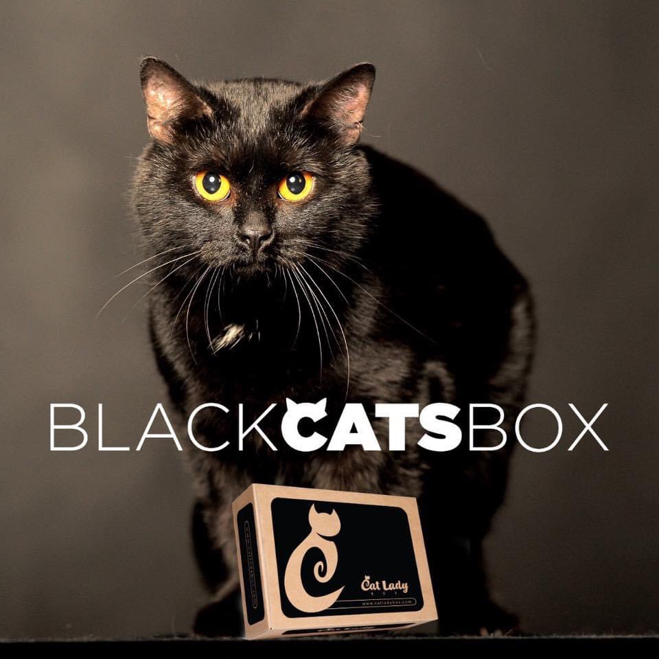 catladybox's tweet photo. ๐ค Its BLACK CATS BOX Time! ๐ค
If you love black cats, you'll LOVE this box! It's all black cat-themed items, and one of the most popurrrlar boxes every year!
๐ฆ๐ป Get started here! โ๏ธ https://t.co/wwGoGAJo6x #catladybox #blackcatsbox https://t.co/b3HMOGL420