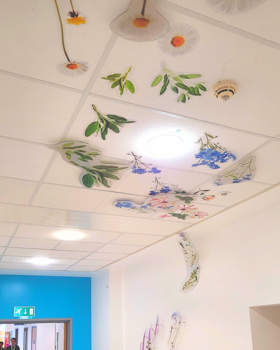 CUH Arts (@cuhartsnhs) on Twitter photo This #OrganDonationWeek, we are sharing Kate Munro's 'Thank You' installation <a href="/CUH_NHS/">Cambridge University Hospitals NHS</a> Addenbrooke's Hospital, which is a tribute to organ donors and their families.
You can read more about this commission on our website: bit.ly/Kate_Munro This #OrganDonationWeek, we are sharing Kate Munro's 'Thank You' installation <a href="/CUH_NHS/">Cambridge University Hospitals NHS</a> Addenbrooke's Hospital, which is a tribute to organ donors and their families.
You can read more about this commission on our website: bit.ly/Kate_Munro