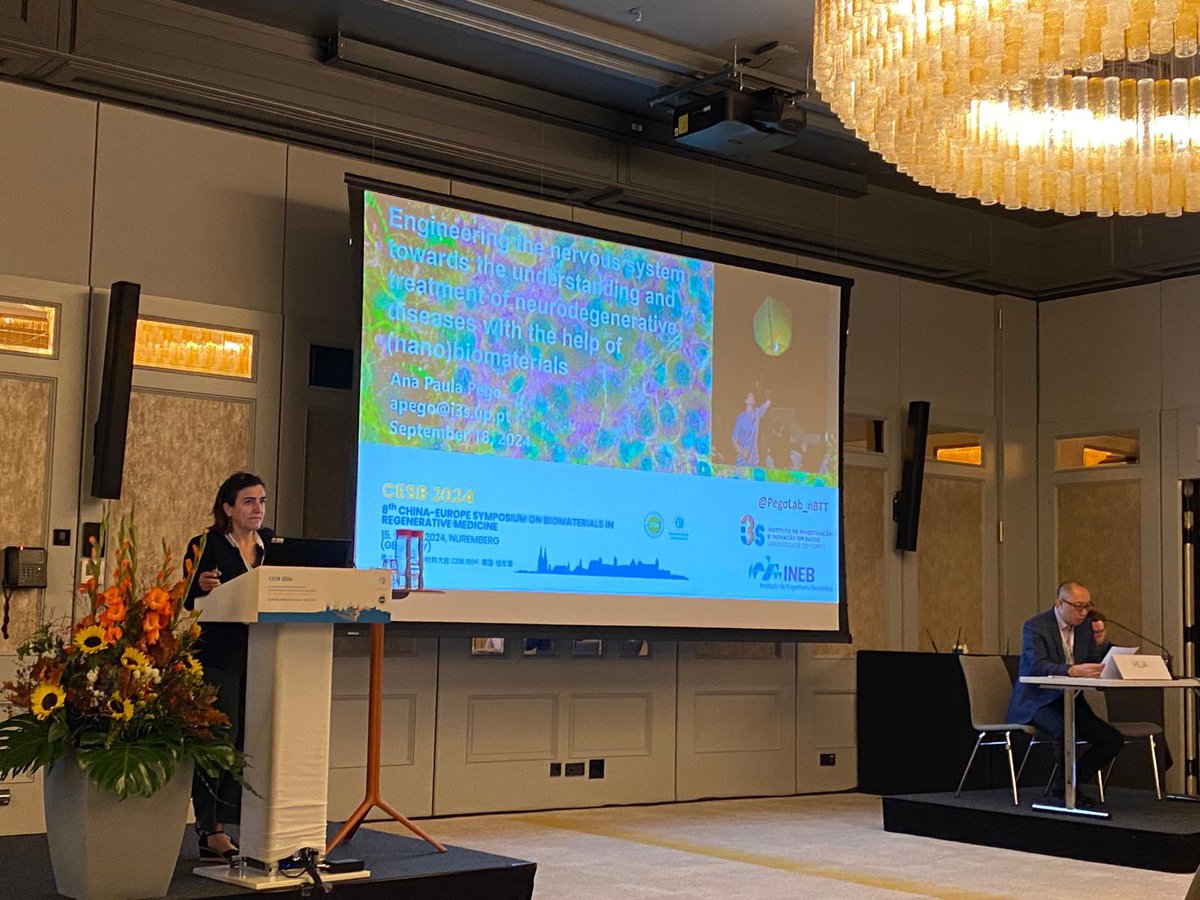 nBTT | Pêgo Lab tweet media