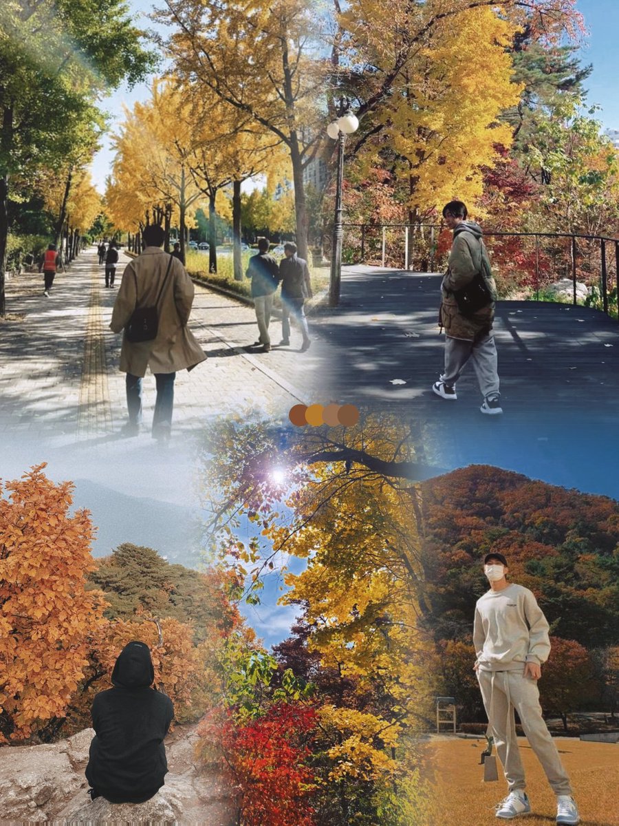 joon is autumn incarnate 🍂 .° ꩜