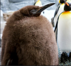 Wimz🧪 tweet media