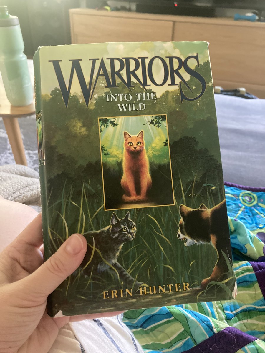 caliberartss's tweet photo. Finding a first edition hardcover copy of Into the Wild at the thrift store feels like a treasure ✨ https://t.co/8ucqQxYZot