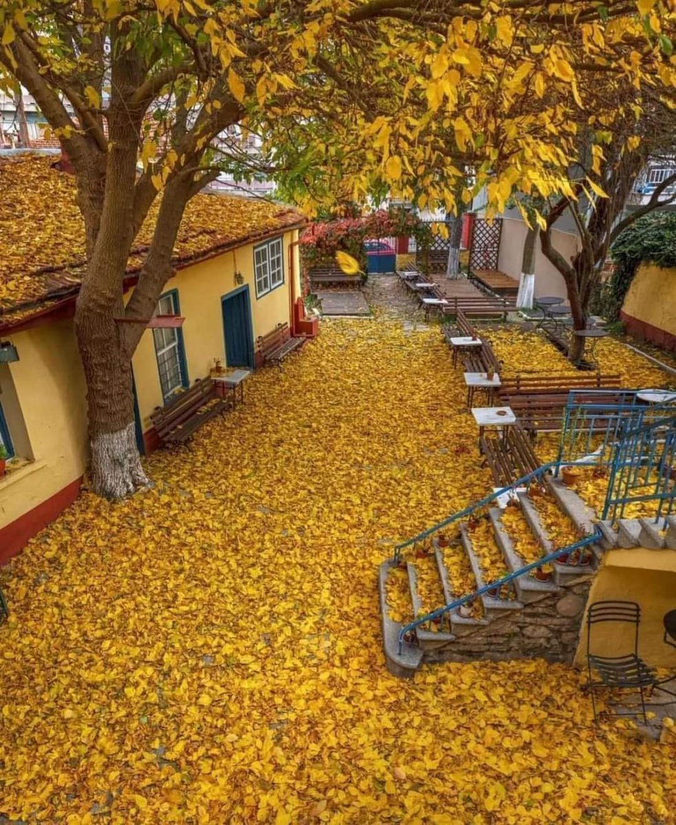 Makedonya'da sonbahar.