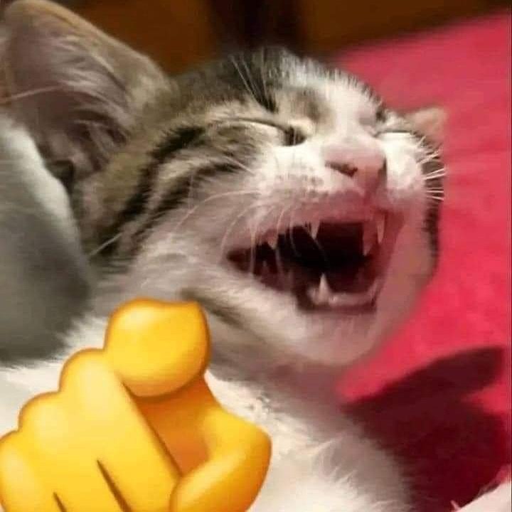 Dayboshxd's tweet photo. #NuevaFotoDePerfil https://t.co/oNhUia3QGy