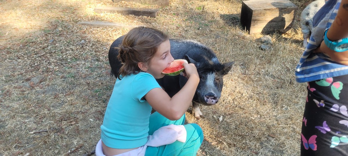 FlowervineMom's tweet photo. Sometimes you just have a eat watermelon and pet a pig to make your day better. 😅
.
.
#humaneeducationprogram #ranchocompasion #pugs #rescueanimals https://t.co/vDNW3Qru4A